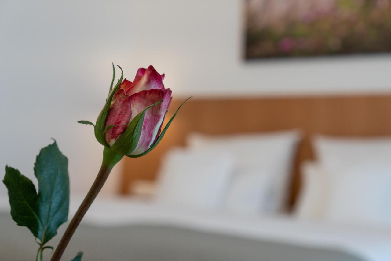 Hotel Elysee Seligenstadt Eksteriør billede